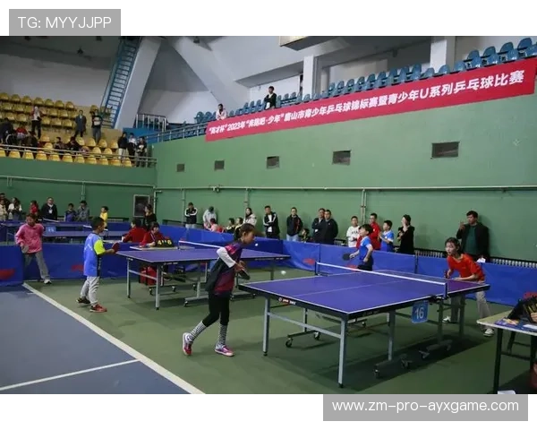 乒乓球俱乐部推动青少年技战术训练的模块化建设，乒乓球青少年组比赛